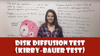 Disk Diffusion Test (Kirby-Bauer Test)