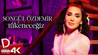 Songül Özdemir Tükeneceğiz 