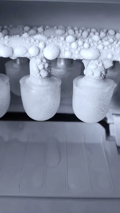 Igloo Ice Cubes | Ice Eating ASMR