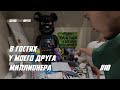 В ГОСТЯХ у МИЛЛИОНЕРА ! МОЮ ЖЕНУ КЛЕИТ СТАРИК ! РОБОТЫ АТАКУЮТ