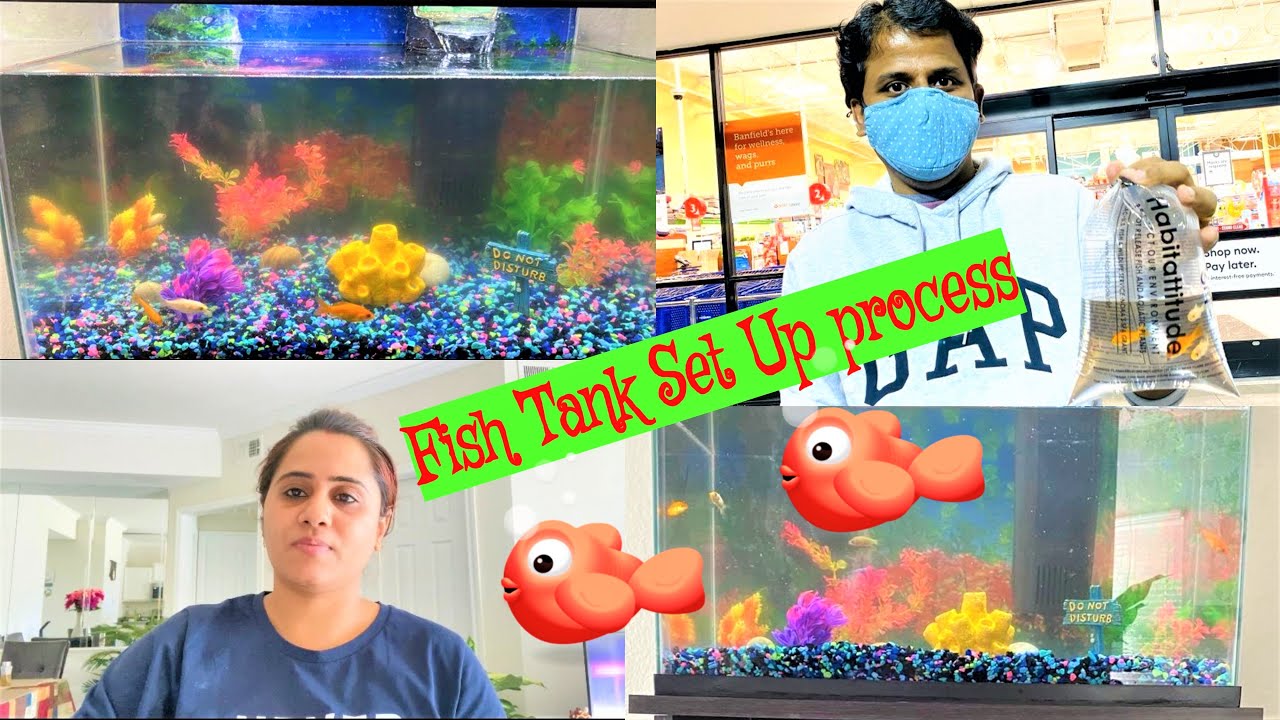 Our Aquarium set up process Petsmart Tour Aquarium set up Idea