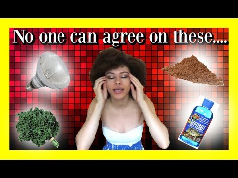 reptile education programs near me Controversial Bearded Dragon Care Routines