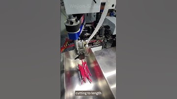 TA-YS01 #wire ferrules crimping machine #cantonfair2024