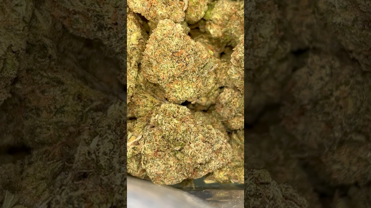 ThcaSmallBuds Gorilla Glue