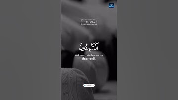 سورة التوبة 🥀🥀|| #islamicvideo #quran #viral #shortvideo #2023 #voice_of_quran @voiceofquran43