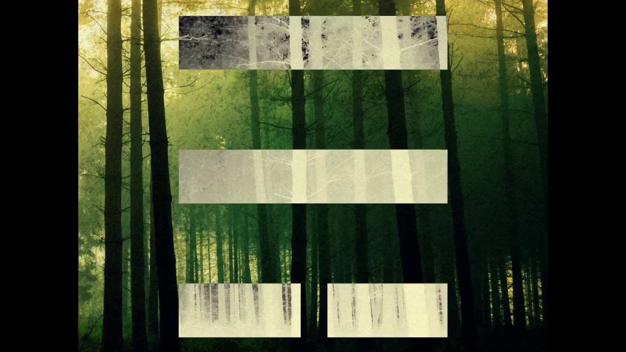 TERRA // "5 Elements Show" WOOD live @Orion 2019