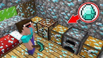 WHAT HAPPENED TO THIS DIAMOND ORE HOUSE? Minecraft - NOOB vs PRO