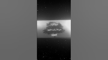 سورة التوبة|102-103|القارئ:#محمد_اللحيدان #قران #quran #راحة_نفسية#قران_كريم#تلاوة_هادئة#تلاوة_خاشعة