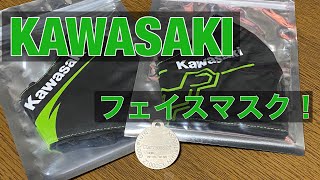 KAWASAKI フェイスマスク 日本未発売　つけてみた　レビュー 試着 カワサキ FACE MASK  Ninja1000  Ninja1000SX ZX-25R H2 VERSYS ZZR