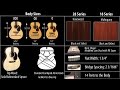 Martin 0 00  000 guitar comparison  elderly instruments