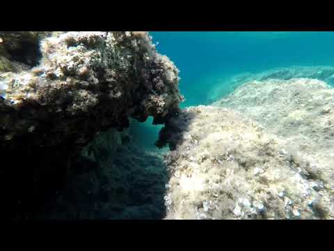 Snorkeling in Skiathos