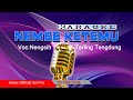 NEMBE KETEMU KARAOKE || TARLING TENGDUNG || Arr mas Kang Video Official Sd Pro