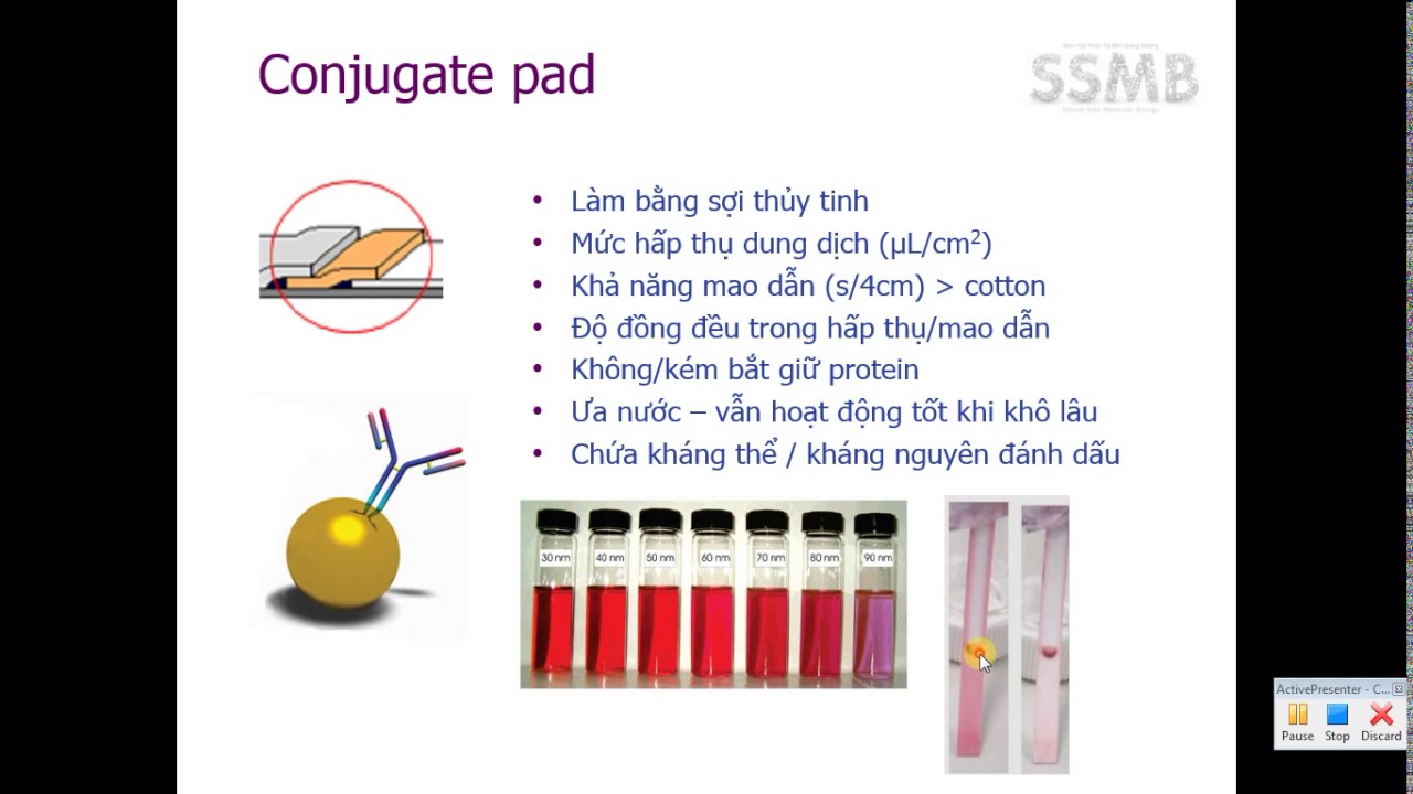 Bài 9 - Que thử thai - Cấu trúc và hoạt động - Phần 2