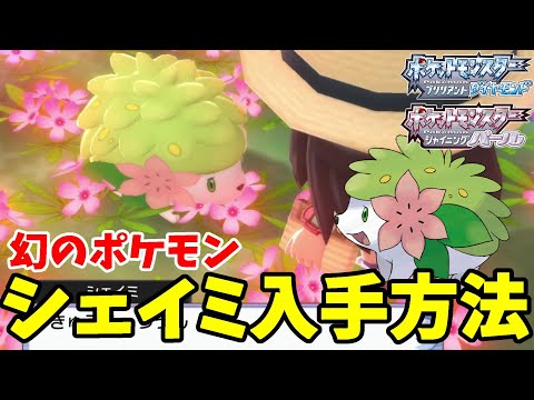 幻のポケモン シェイミ の入手方法と激レアアイテム オーキドのてがみ 224番道路の行き方 ポケモンダイパリメイク ブリリアントダイヤモンドシャイニングパール Youtube