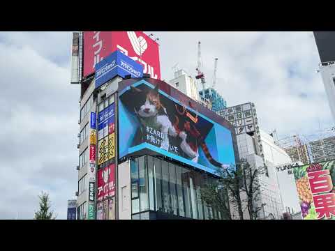 【新宿】クロス新宿ビジョン #負けにゃいで