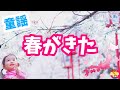 【童謡】春が来た【BGM】日本の歌百選