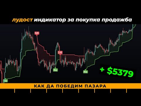 Видео: Индикатор за показване на пазара: как работи