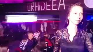 Body A Shake Shaggy Feat. Mc Masu - Super Show | Orhideea Pub |