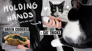 We're holding paws because my cat wants to hold my hand! | All the tricks my cat knows | CNDVLOG12 by CNDVL 2,540 views 2 years ago 10 minutes, 59 seconds