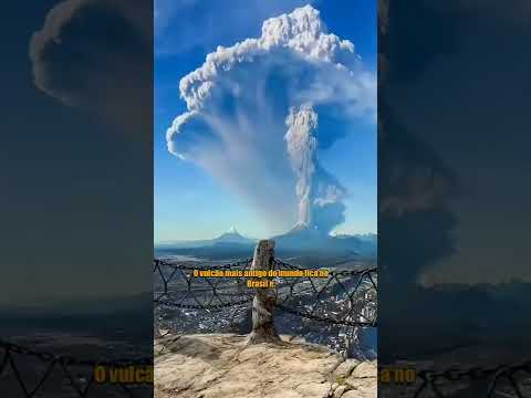 Vídeo: Que tipo de planta vive perto de vulcões?