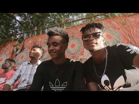 جديد الضوء الأخضر فك شغل زي الشغل ود معمر الصافي