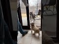 He Was Brave… Until It Got Real