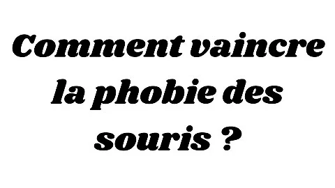 Comment se débarrasser de la peur des souris ?