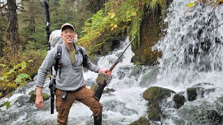 Stranded in Alaska's Rainforest - 3 Days Solo camping