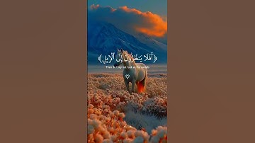 تلاوه جميله للقارئ عبدالرحمن مسعد 💙🍁#quran_alkarim #قران_كريم #راحة_نفسية #اجر_لي_ولكم #CapCut