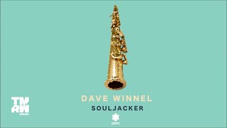 Miniatura de vídeo de "Dave Winnel - Souljacker"