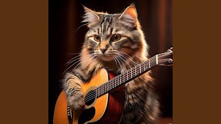 Calm Paws Harmony