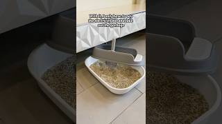 self cleaning litter box #catlink #catproducts #cat #catlitterbox #petproducts #cathealth