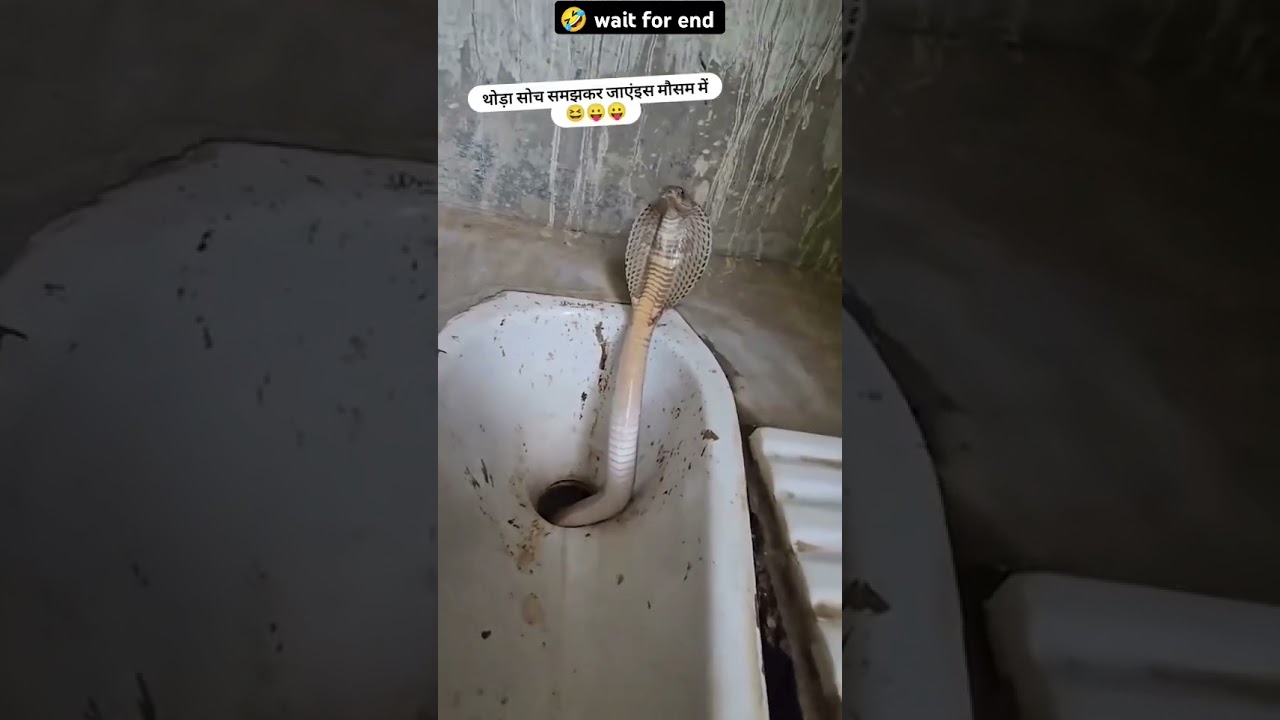 आज तों बस गया 😂🤣ll vagdicomedy dungarpur 