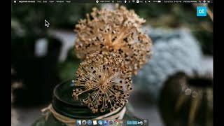 How To View The Wifi Password On Macos