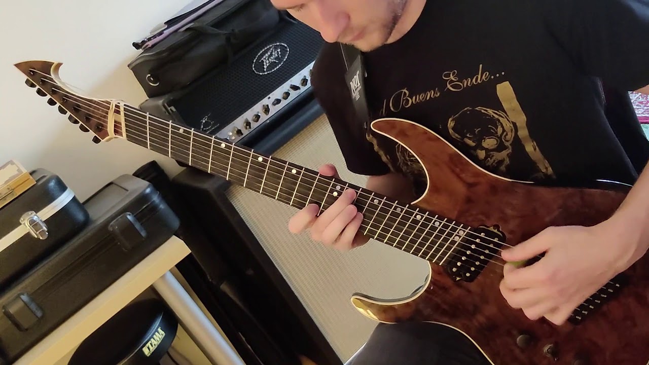 Ulcerate - Drown Within [guitar cover]