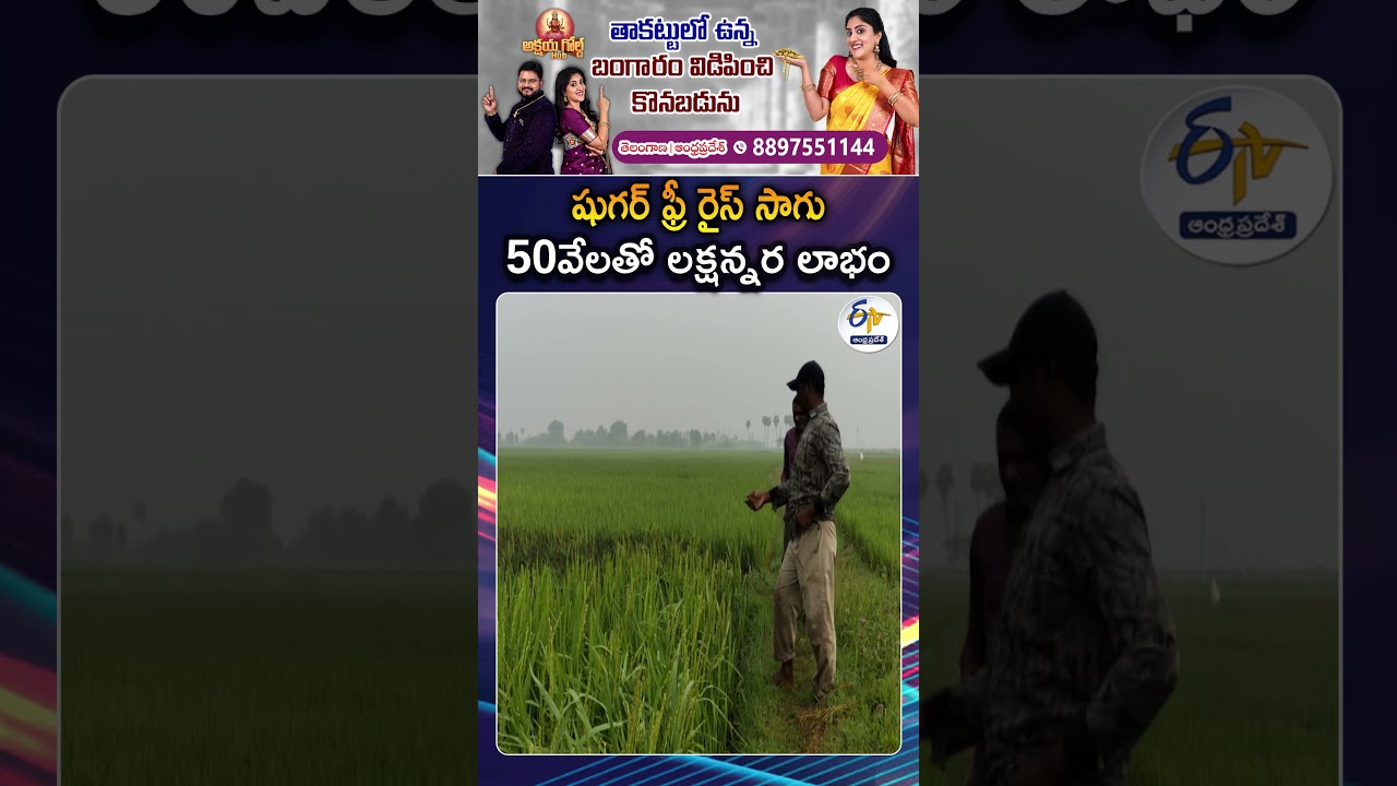Farmer Revives 110 Indigenous Rice Varieties Using Organic Farming in Andhra Pradesh
