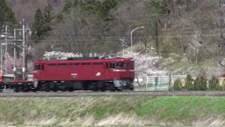 国鉄ED75型電気機関車、東北本線の工臨で健在! Japanese Old Electric LocomotiveED75,Tohoku Line,Japan