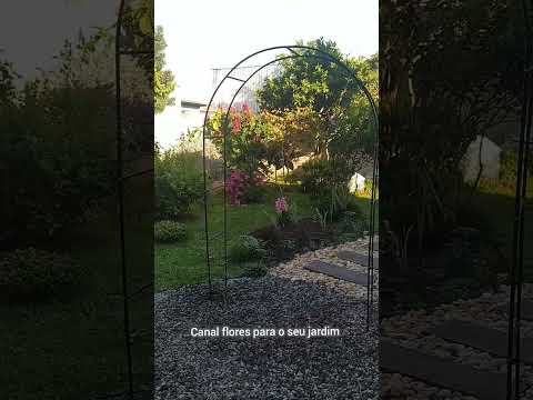 Vídeo: Arcos de jardim. Arco de metal na paisagem do jardim