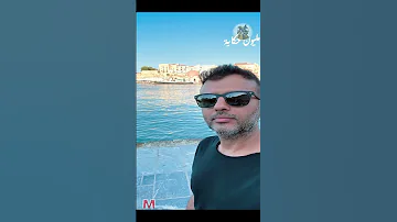 ألبومات نمرة Shorts 