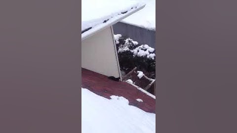 Squirrel Entry Point