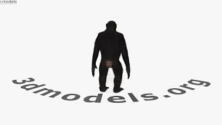 Common Chimpanzee Female 3D model by 3DModels.org