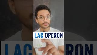 Lac Operon Made Easy 🔥 | Gene Regulation in Prokaryotes | Inducible Operon Explained | Biology
