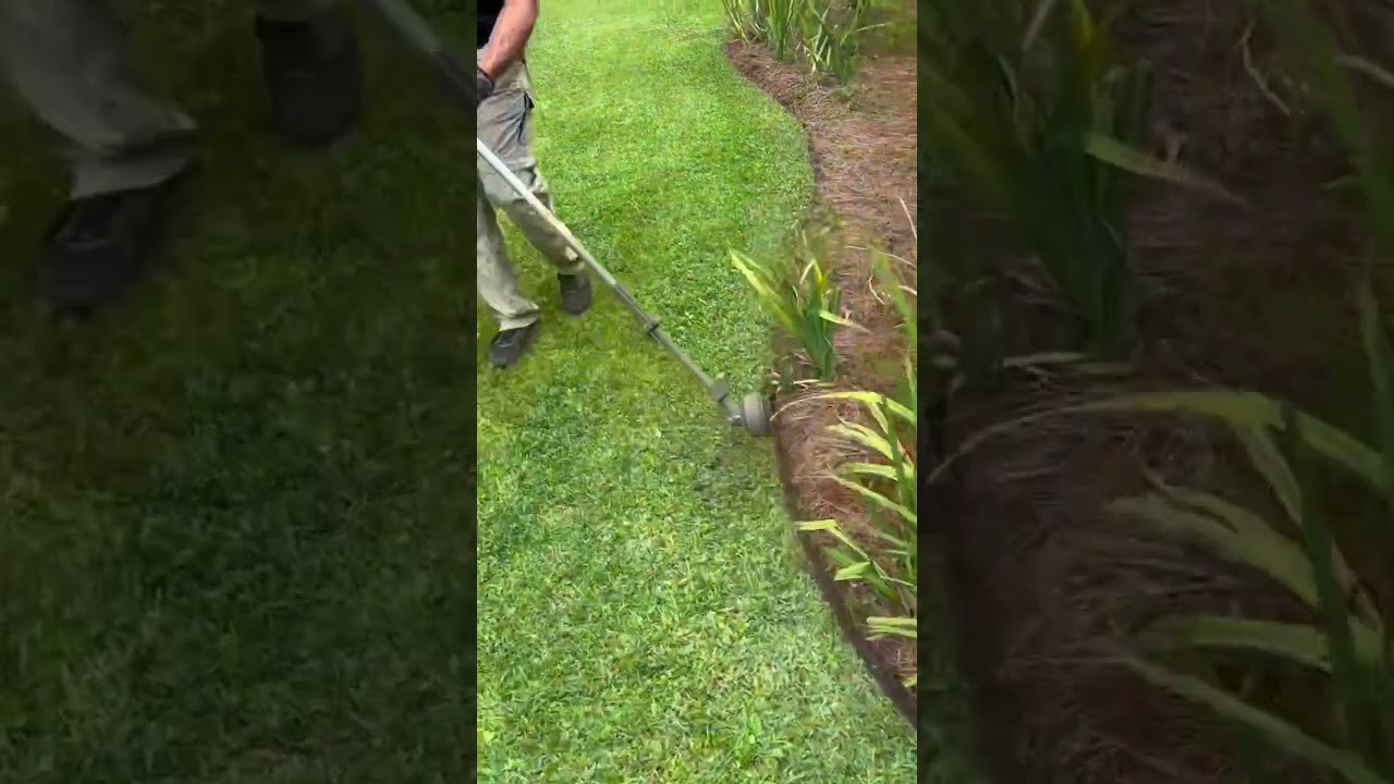 String Trimmer Lawn Edging PERFECTION! 