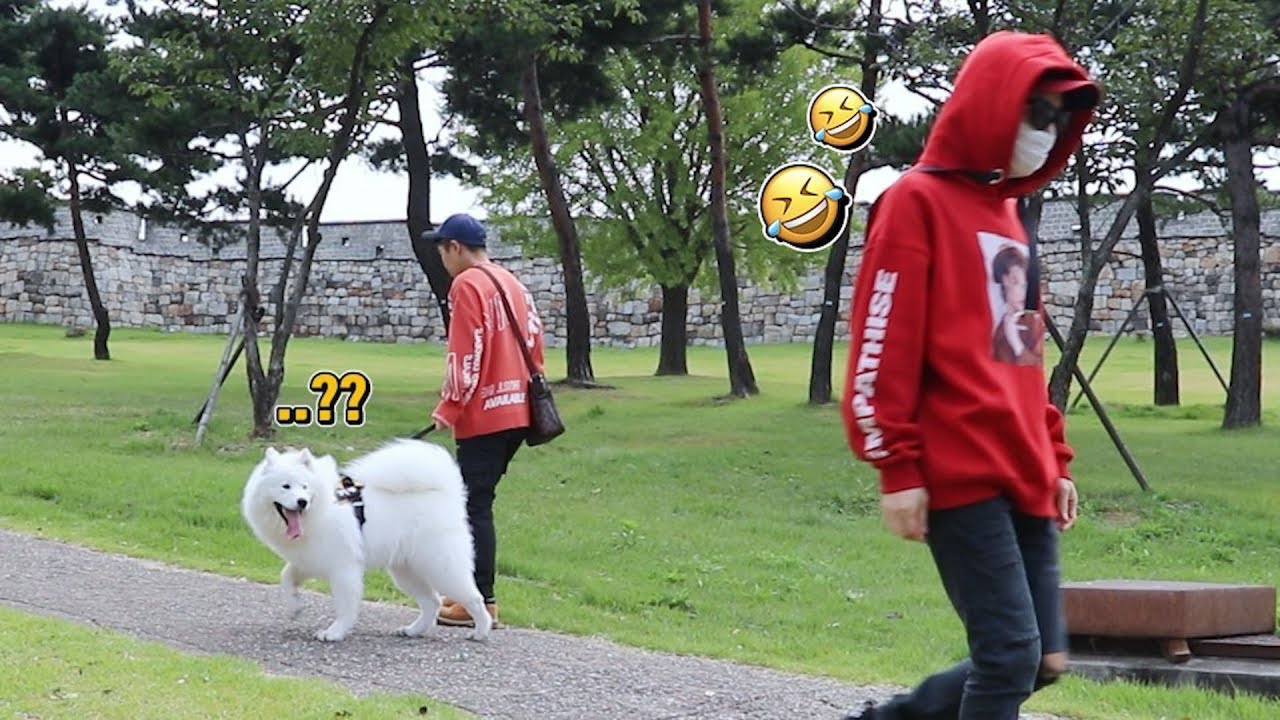 [Русские субтитры] Сможет ли моя собака узнать владельца, которого встретила снаружи?