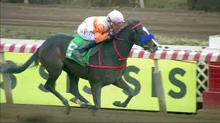 Vidéo de la course PMU PRIX BOLERO