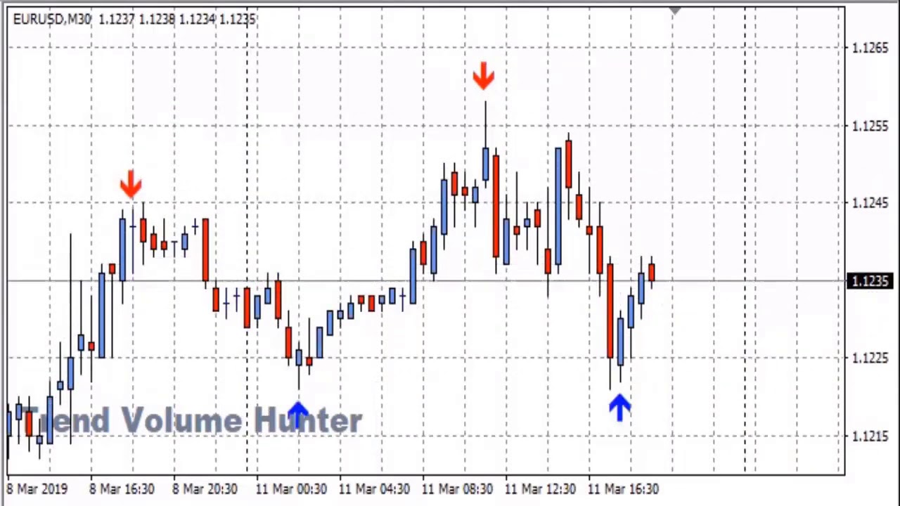 Авторский Высокоточный Индикатор «Trend Volume Hunter»