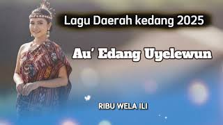 Lagu kedang viral 2025 - Au' Edang uyelewun 