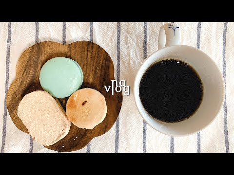 Vlog | 달리기 시작, 진정령 입덕, 동네 맛집, 꽁치김밥, 산책길 동물들