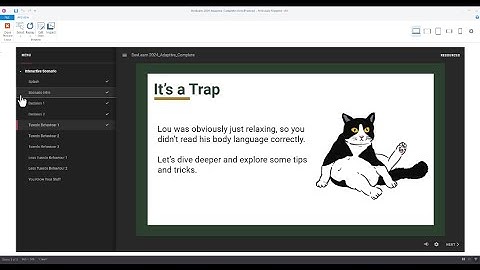 Creating Adaptive Learning Paths Using Interactive Scenarios in Articulate Storyline 360