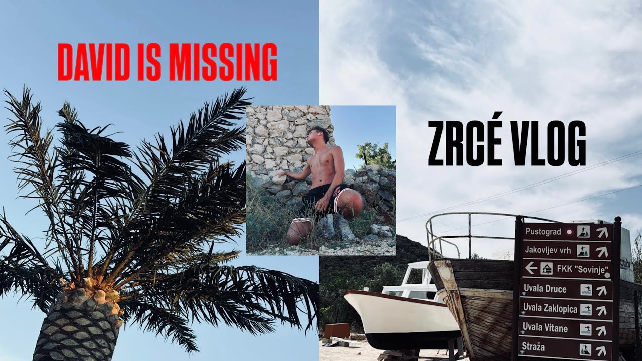 DAVID IS MISSING | zrcé.vlog